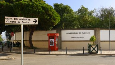 ualg universidade penha anamadeira