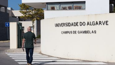 universidade_algarve_gambelas-10