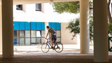 universidade_algarve_gambelas-16