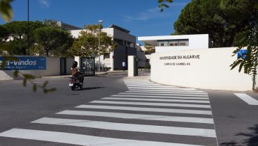 universidade_algarve_gambelas-4