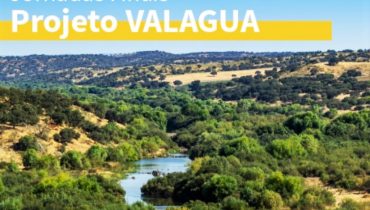 valagua