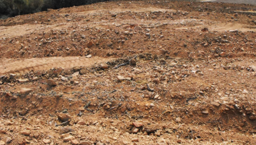 vale_diogo_do_campo (Gonçalo Lopes_2020)|serra_de_espinheira_4_(Gonçalo_Lopes_2020)