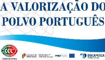 valorização do polvo português