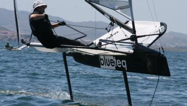 vela moth