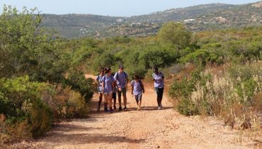 vigilancia florestal 5