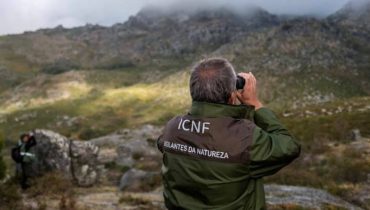 vigilantes natureza icnf