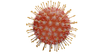 Bacteria_virus_covid_19_pandemia_corona|Boletim DGS 9 de Janeiro de 2022_Mapa|Boletim DGS 9 de Janeiro de 2022_Óbitos|Boletim DGS 9 de Janeiro de 2022_Sintomas|Boletim DGS 9 de Janeiro de 2022_Casos|Boletim DGS 9 de Janeiro de 2022_Internamentos