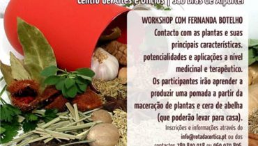 workshop plantas