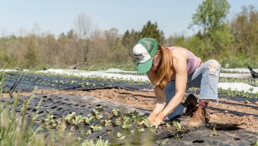 zoe-schaeffer-D_VjFp1ds1Y-unsplash|cartaz - formação agricultura sust